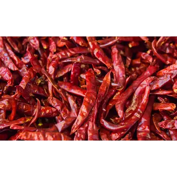 Fresh Guntur Dry Red Chilli